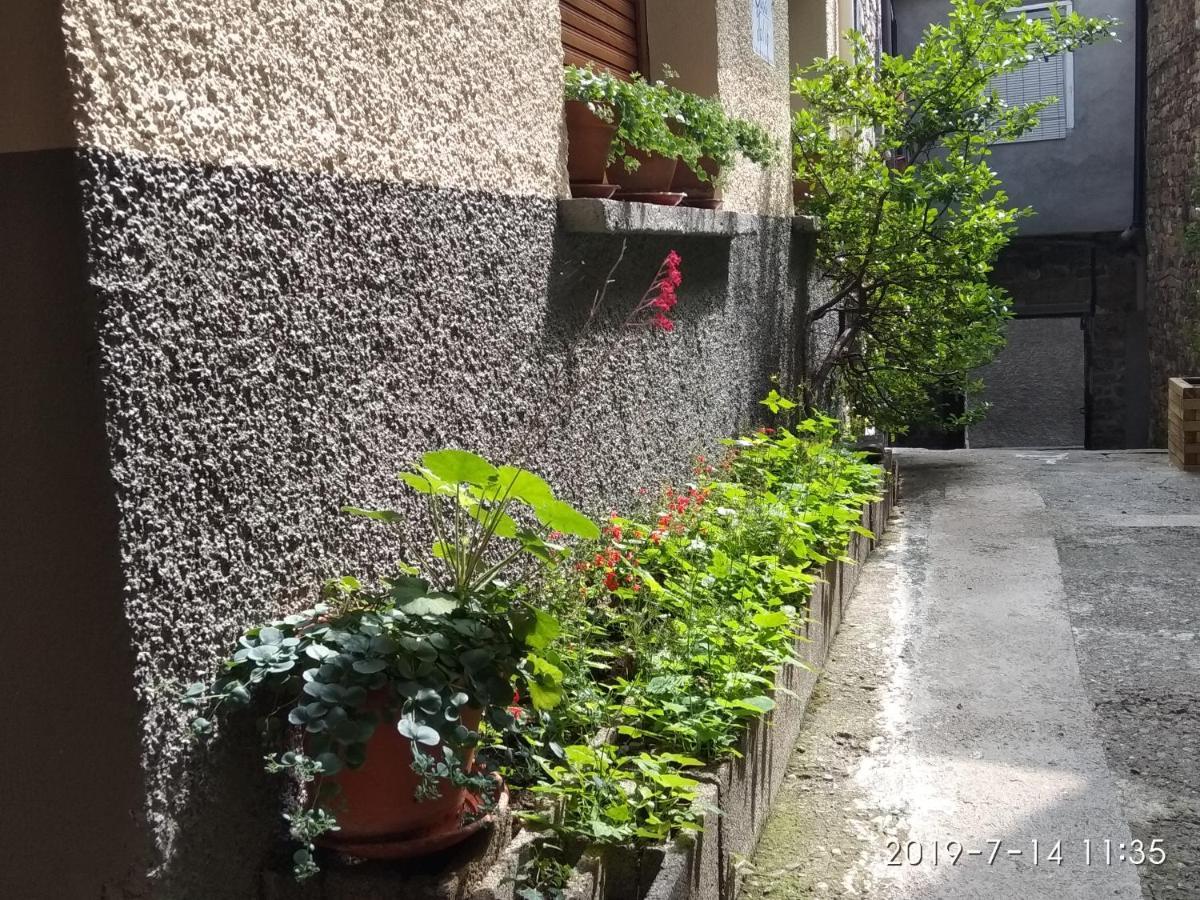 Casa Julio Villa Torla Kültér fotó